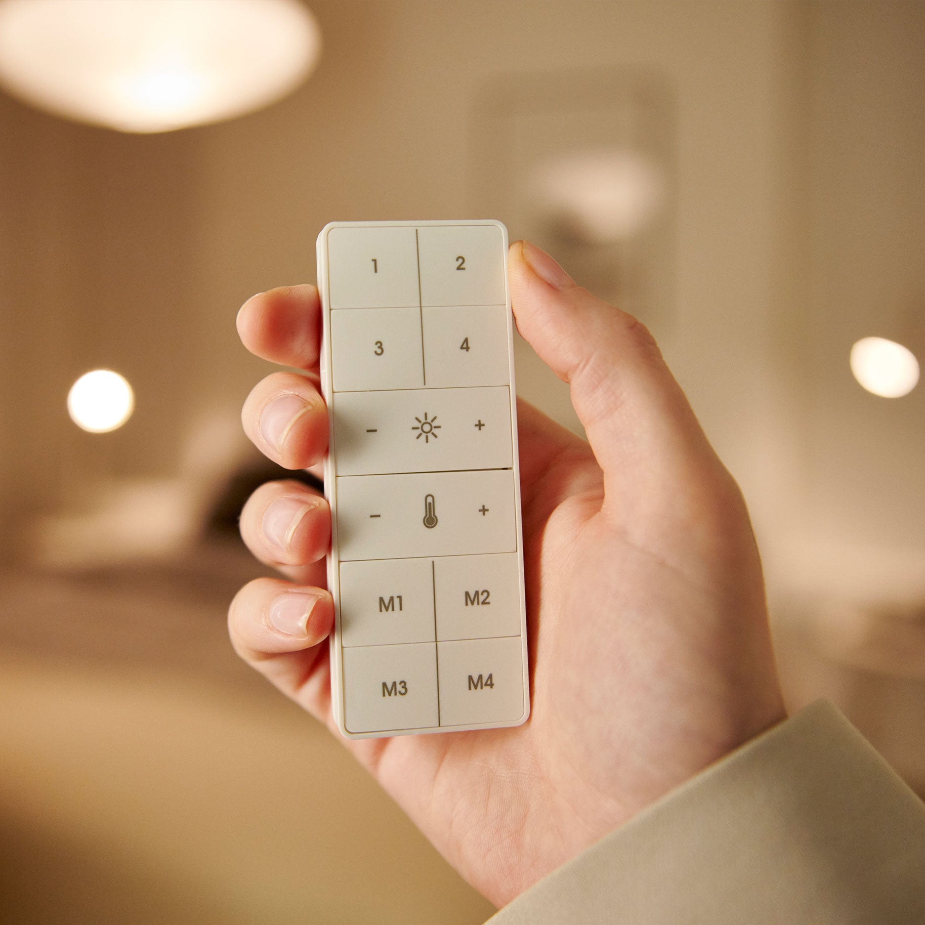 Smart Light Fernbedienung